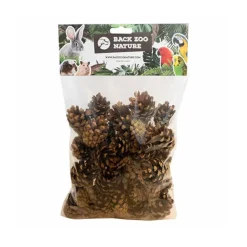 Back Zoo Nature Small Forest Pine Cones