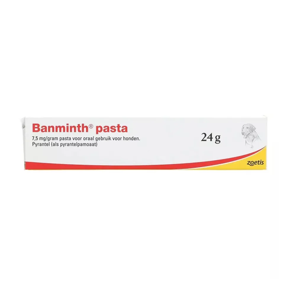 Banminth Pasta hond