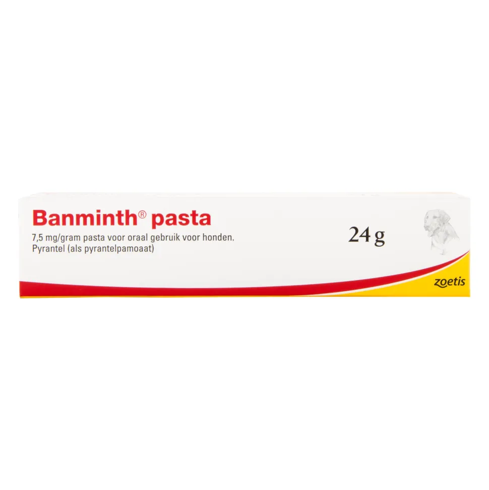Banminth Pasta hond