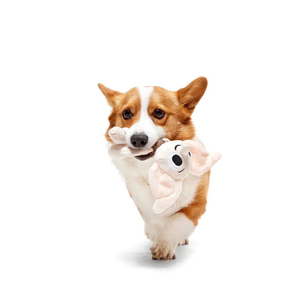 Bark Harry Potter Dobby Knuffel