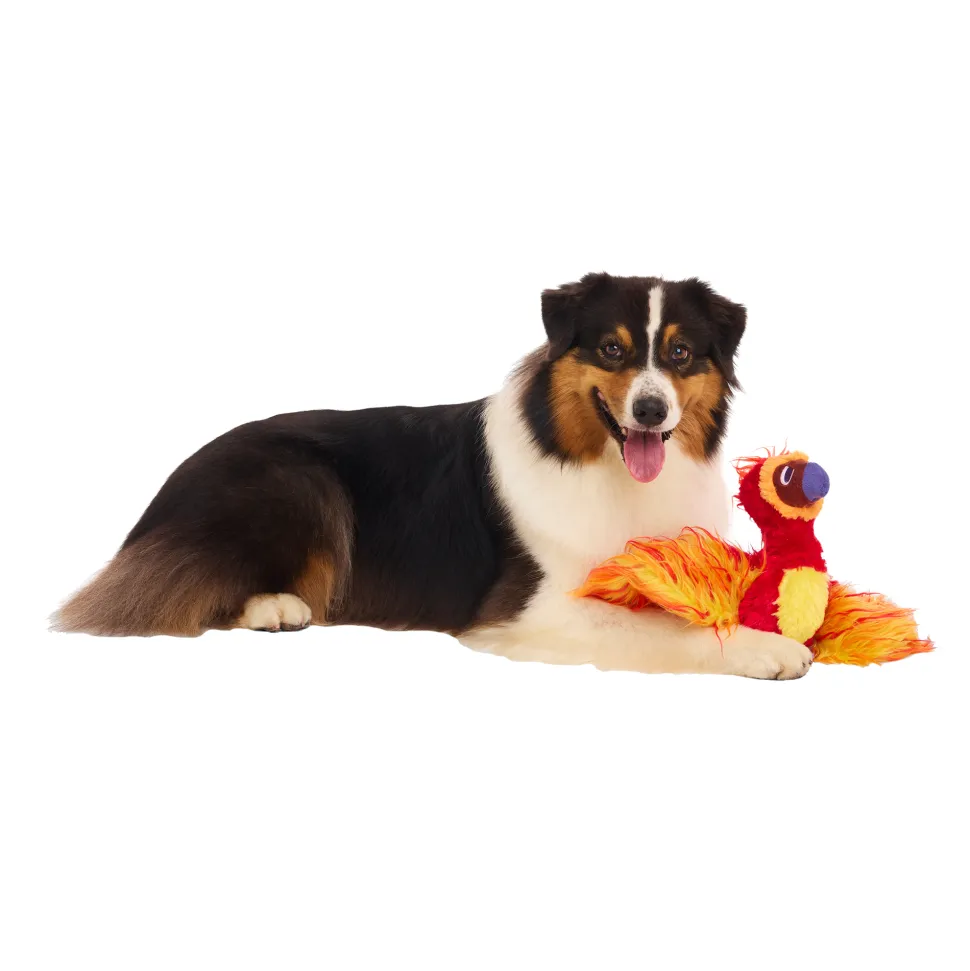 Bark Harry Potter Fawkes Knuffel