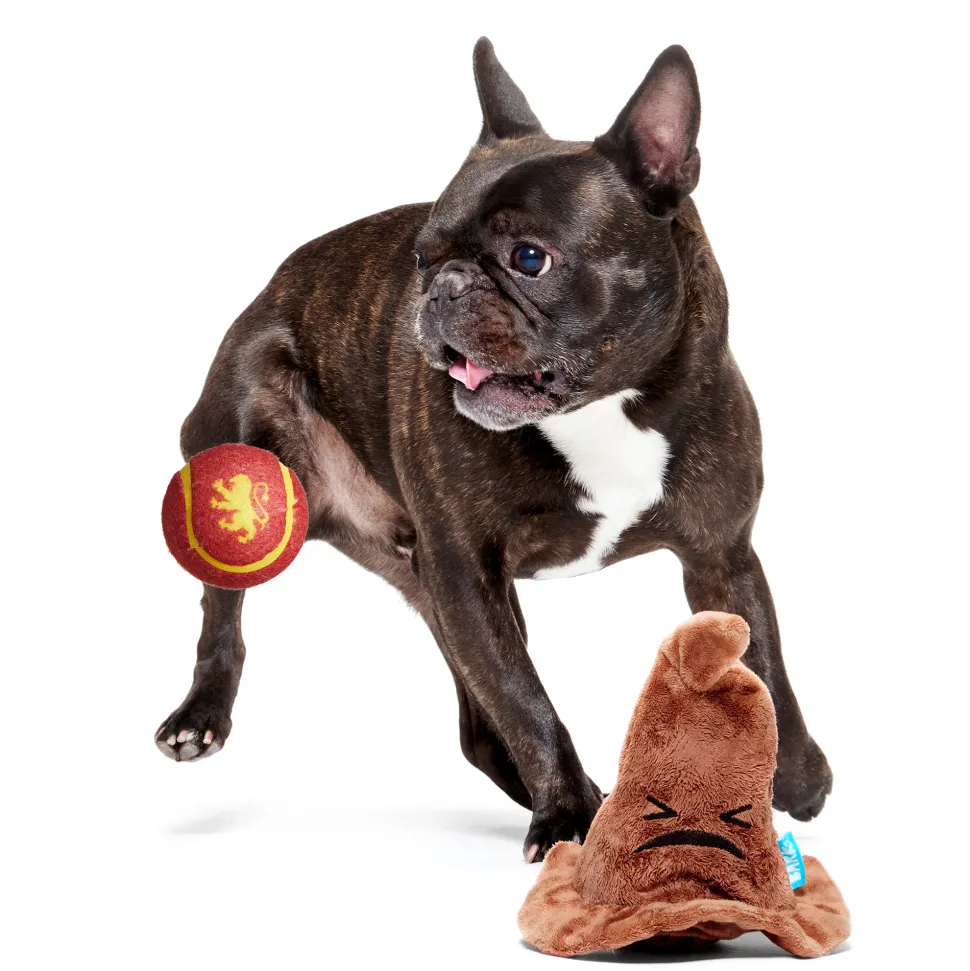 Bark Harry Potter Sorting Hat Knuffel met Bal