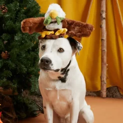 Bark Majestic Marty Arend met Vis