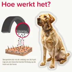 Beaphar Canishield Hond