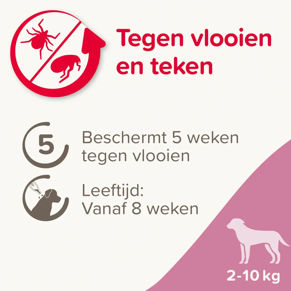 Beaphar FiproTec Spot-On Hond