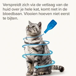 Beaphar FiproTec Spot-On Kat