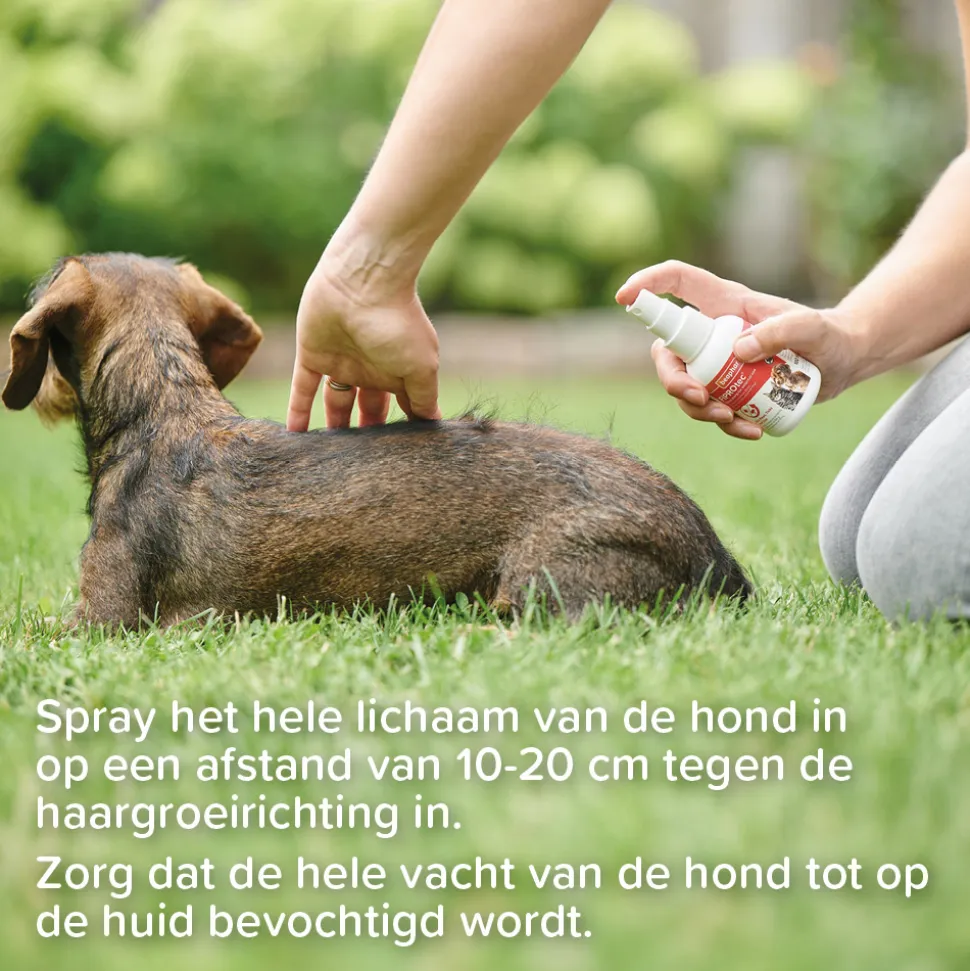 Beaphar Fiprotec Spray