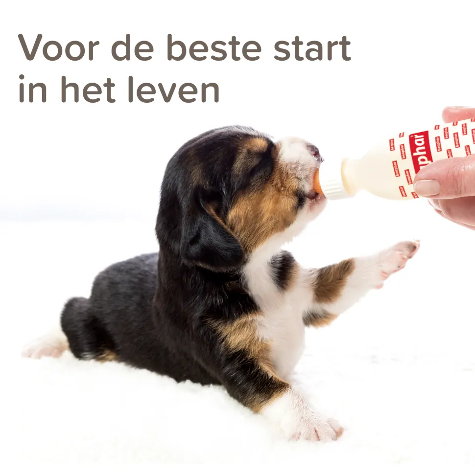 Beaphar Lactol Puppy Milk