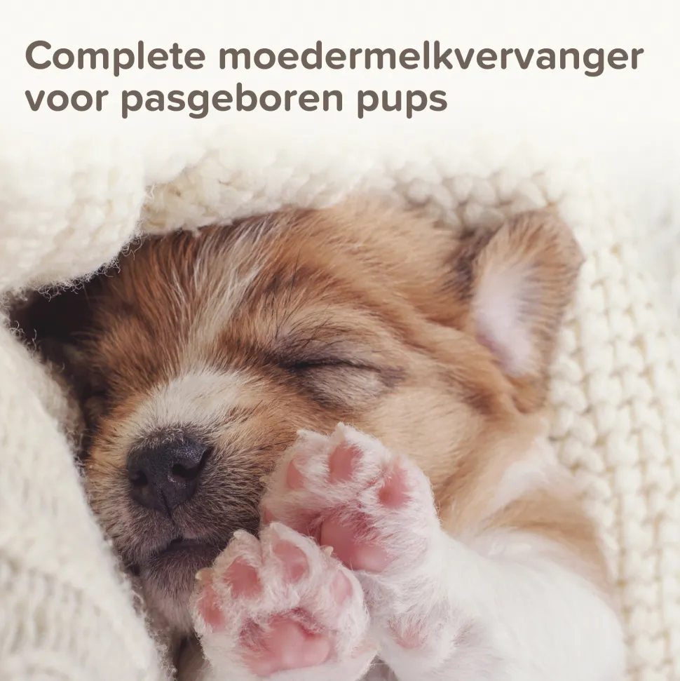 Beaphar Lactol Puppy Milk