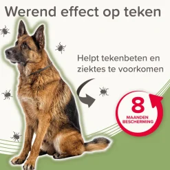 Beaphar Medicinale Halsband Hond