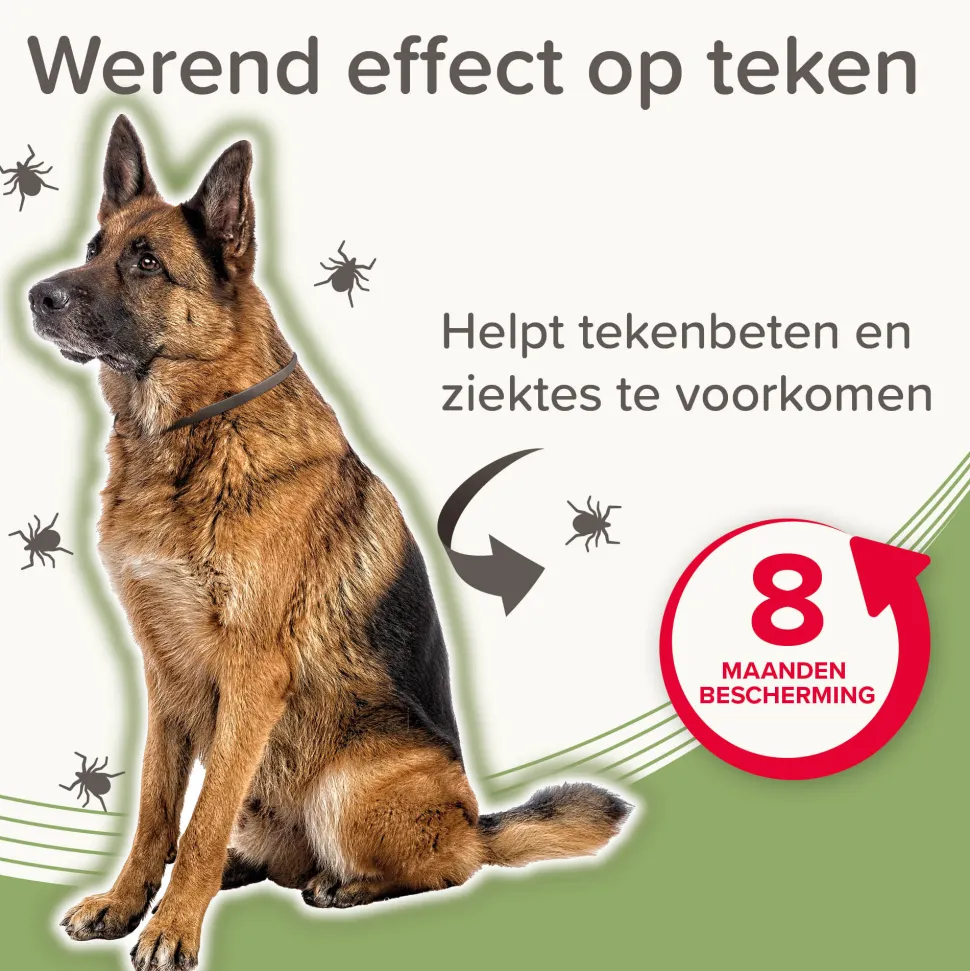 Beaphar Medicinale Halsband Hond