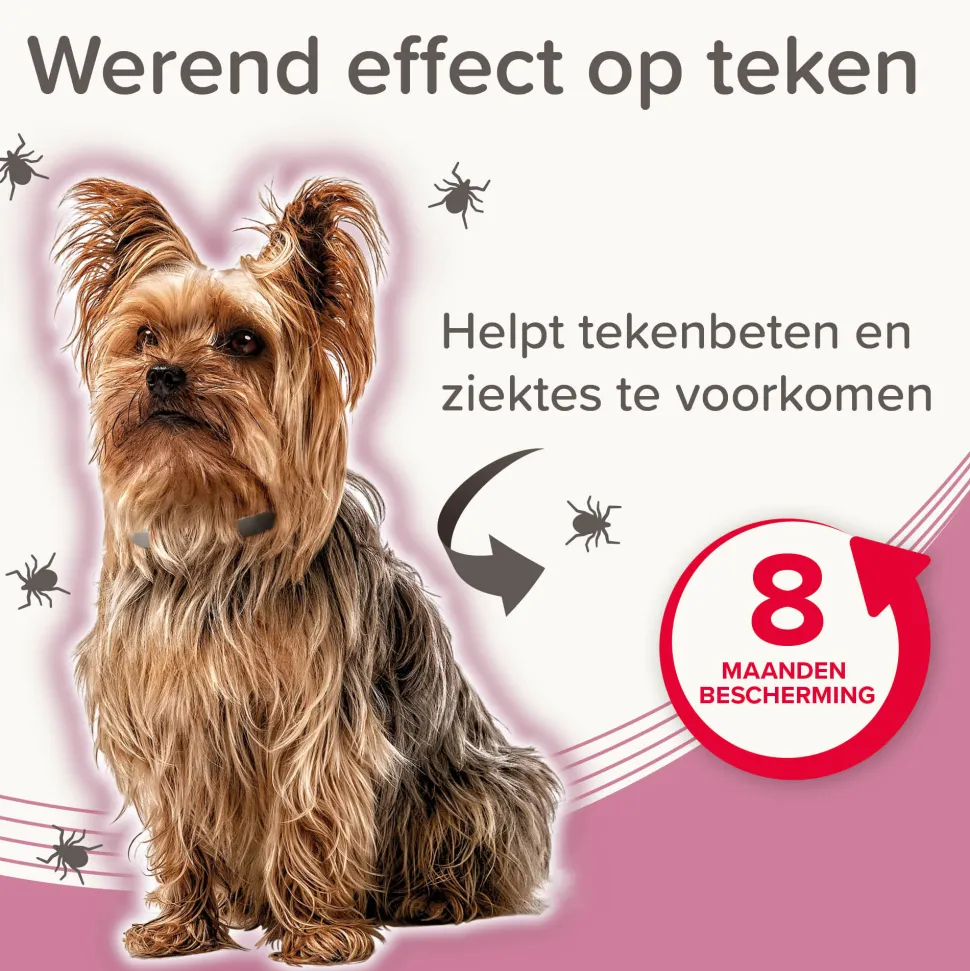 Beaphar Medicinale Halsband Hond