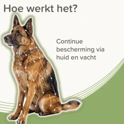 Beaphar Medicinale Halsband Hond