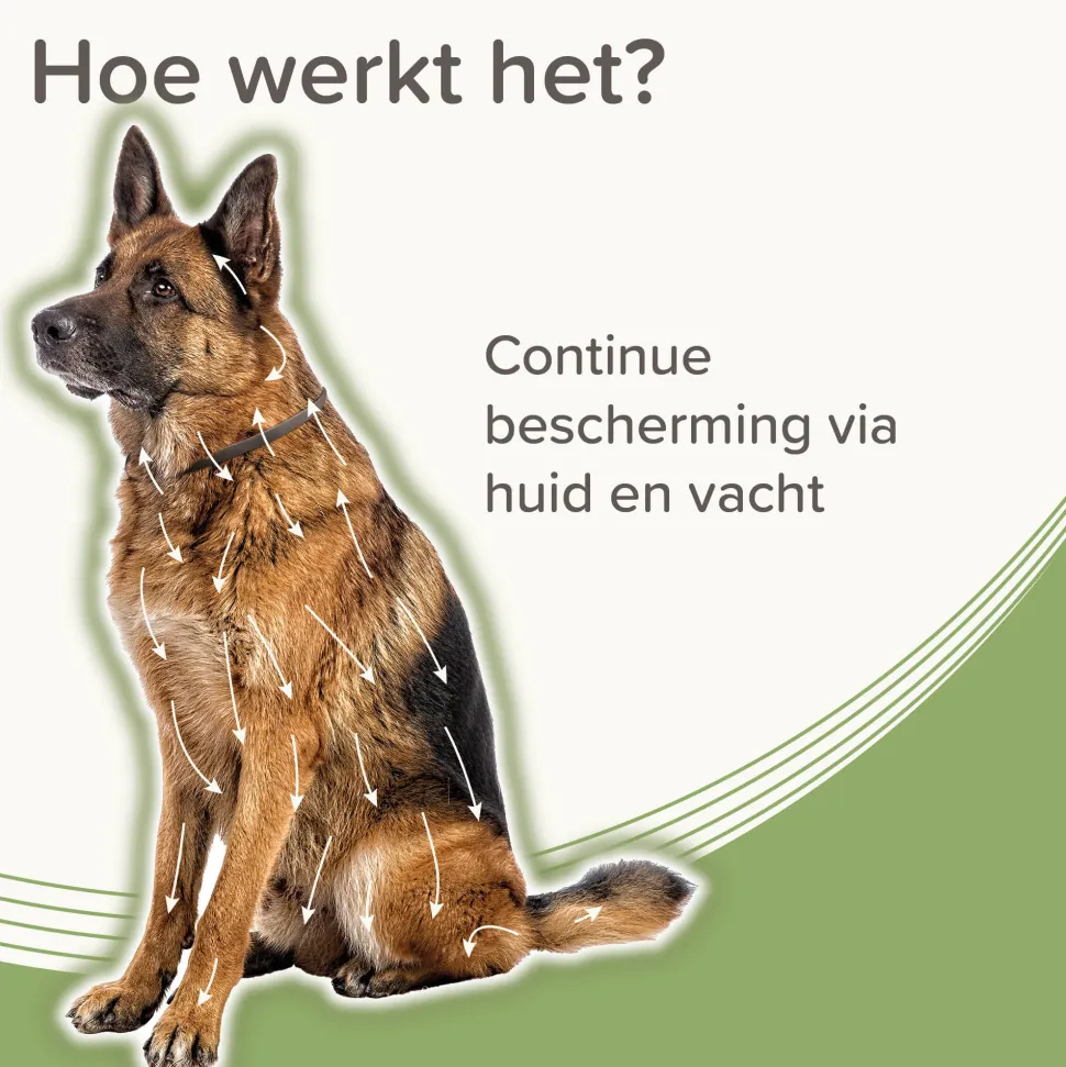 Beaphar Medicinale Halsband Hond