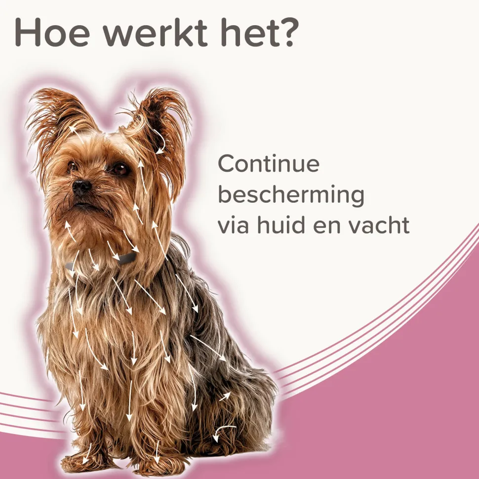 Beaphar Medicinale Halsband Hond