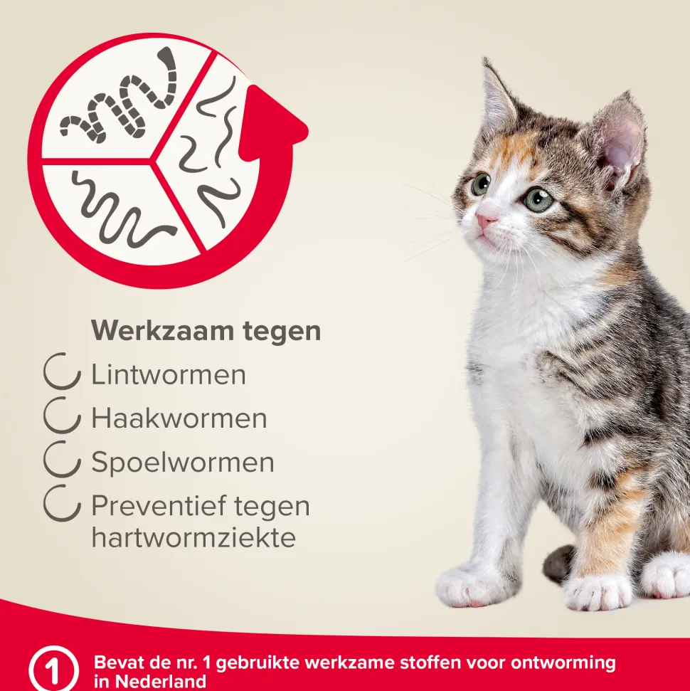 Beaphar Milquestra Kat