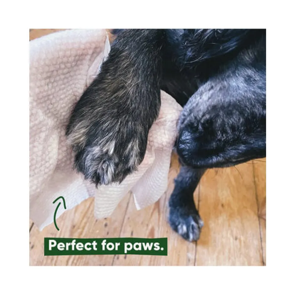 Beco Bamboo Dog Wipes - Coconut