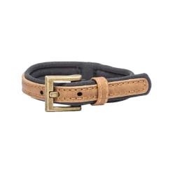 Beeztees Balacron Ax Halsband Kunstleer - Hond