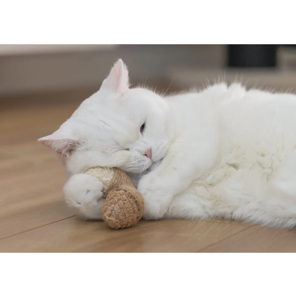 Beeztees Catnip Eikel Terry