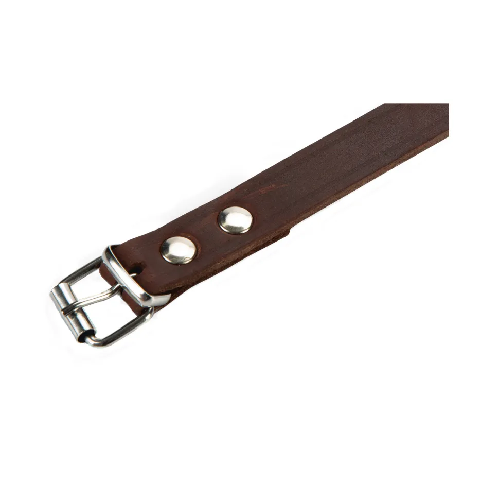Beeztees Halsband Hond Leer
