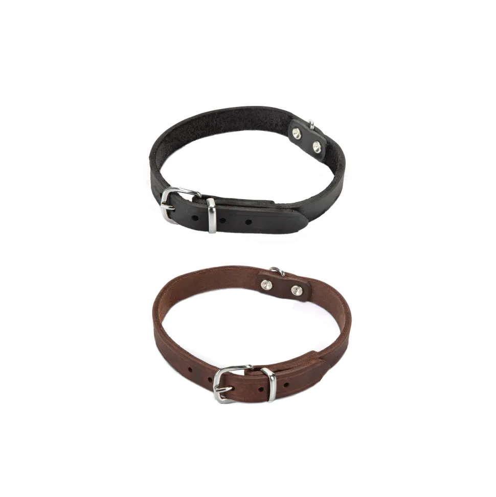 Beeztees Halsband Hond Leer
