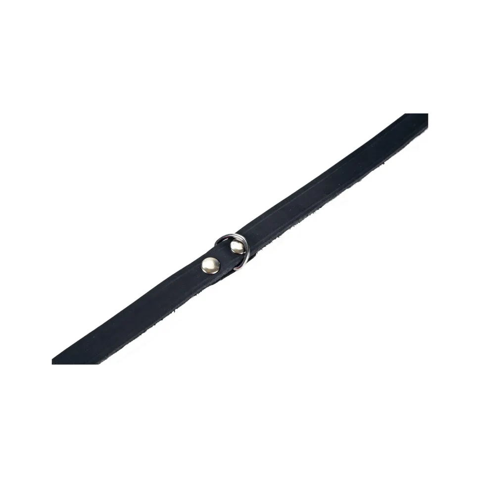 Beeztees Halsband Hond Leer