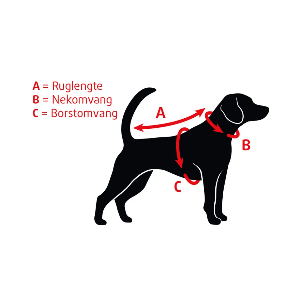 Beeztees Halsband Hond Leer