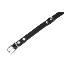 Beeztees Halsband Hond Leer