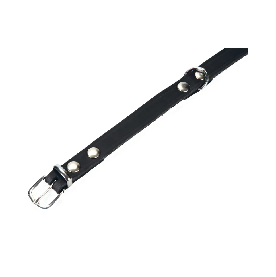 Beeztees Halsband Hond Leer