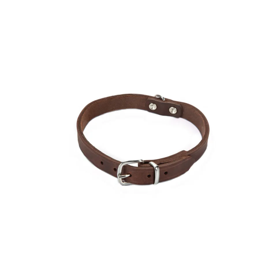 Beeztees Halsband Hond Leer