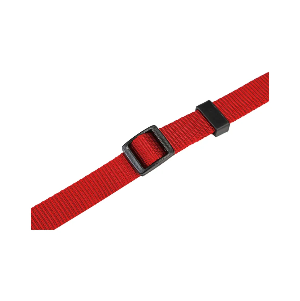 Beeztees Halsband Hond met Kliksluiting