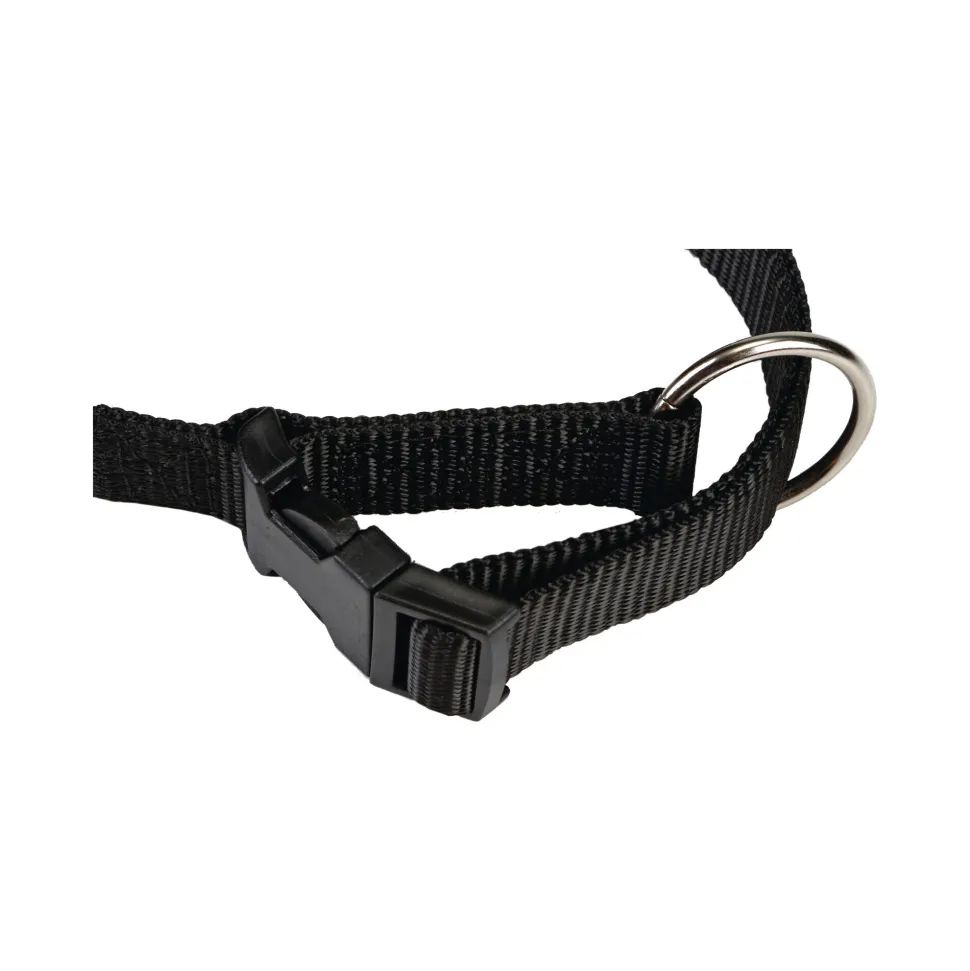 Beeztees Halsband Hond met Kliksluiting