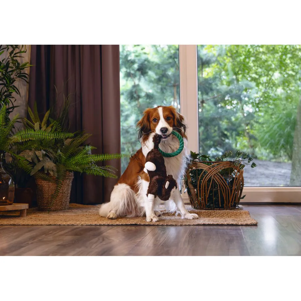 Beeztees Jungle Mats