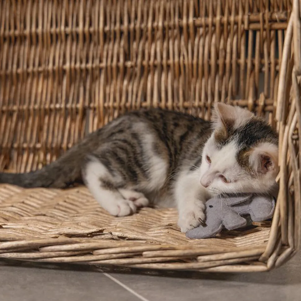 Beeztees Jungle Noddi