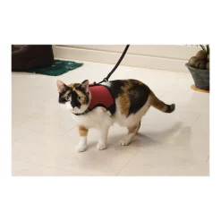 Beeztees Kattenharnas