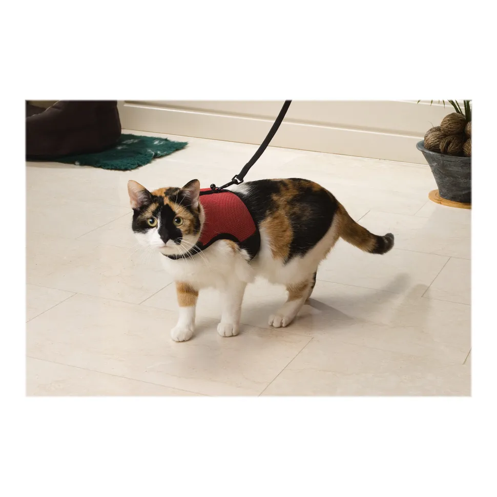 Beeztees Kattenharnas