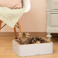 Beeztees Kitten Pluche Deken Tilou