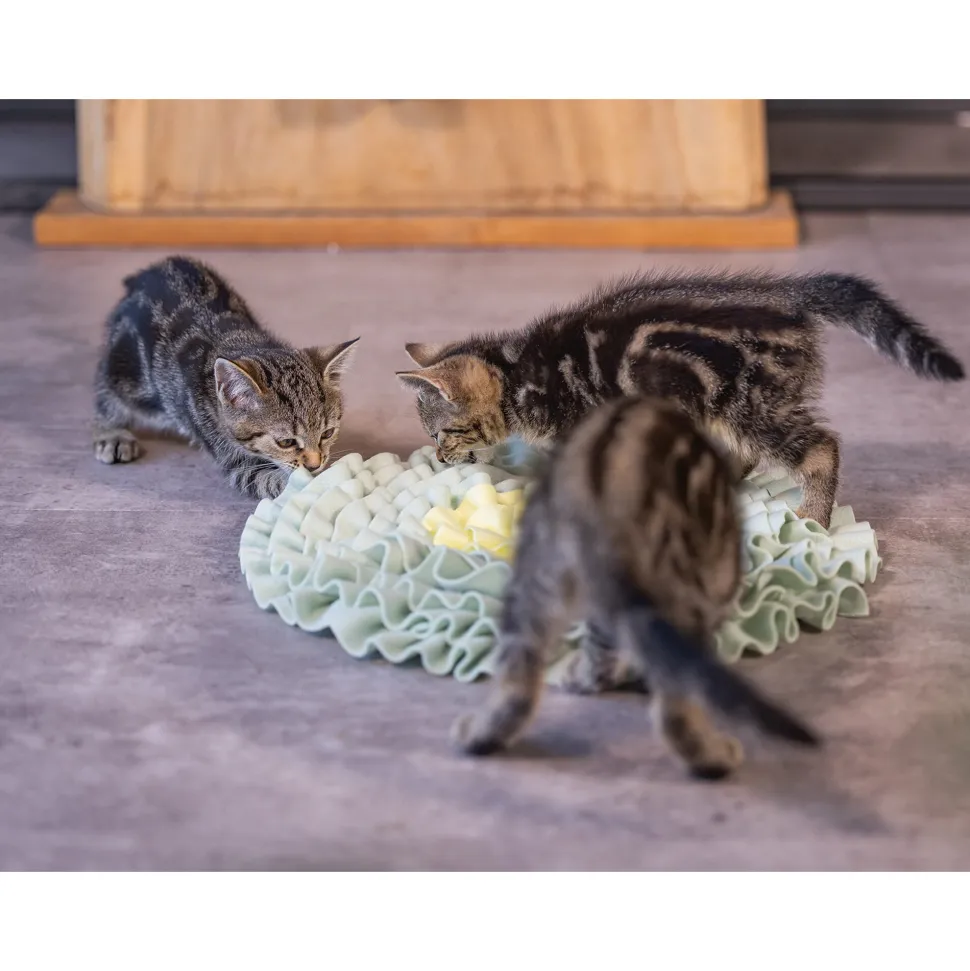 Beeztees Kitten Snuffelmat Flowie