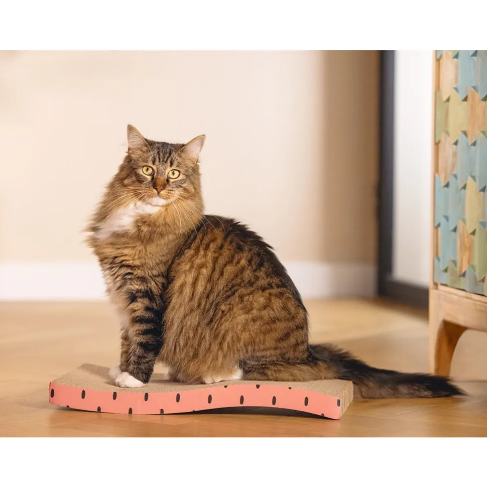 Beeztees Krabplank Dots