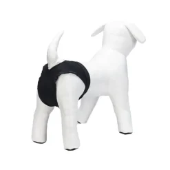 Beeztees Loopsheidbroekje