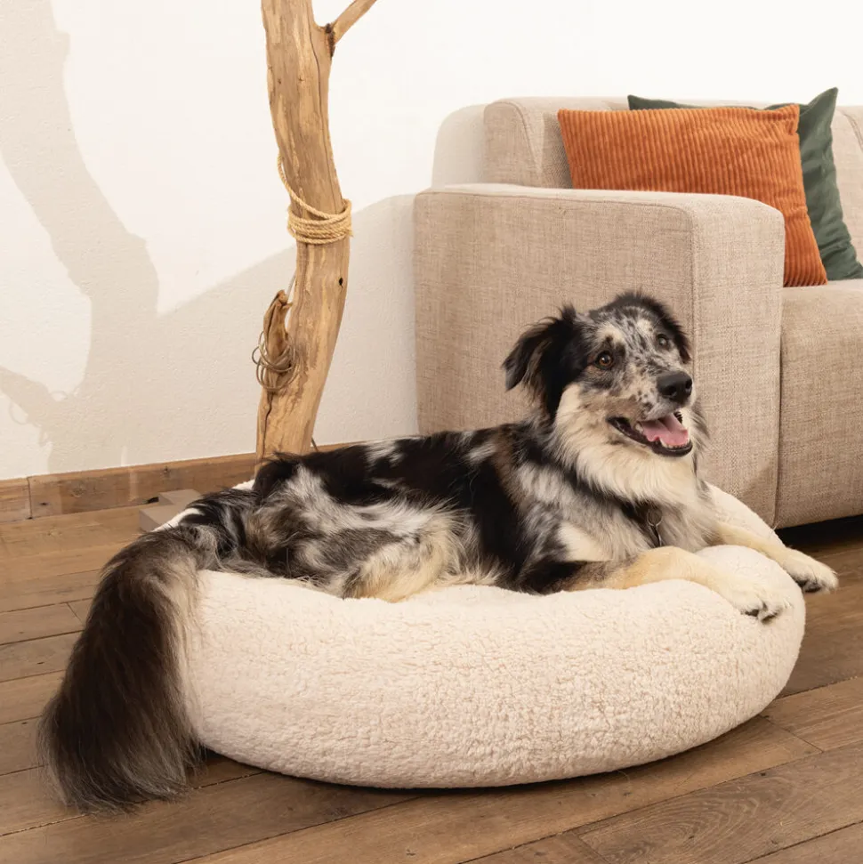 Beeztees Memory Foam Jaxx - Hondenmand - Pluche