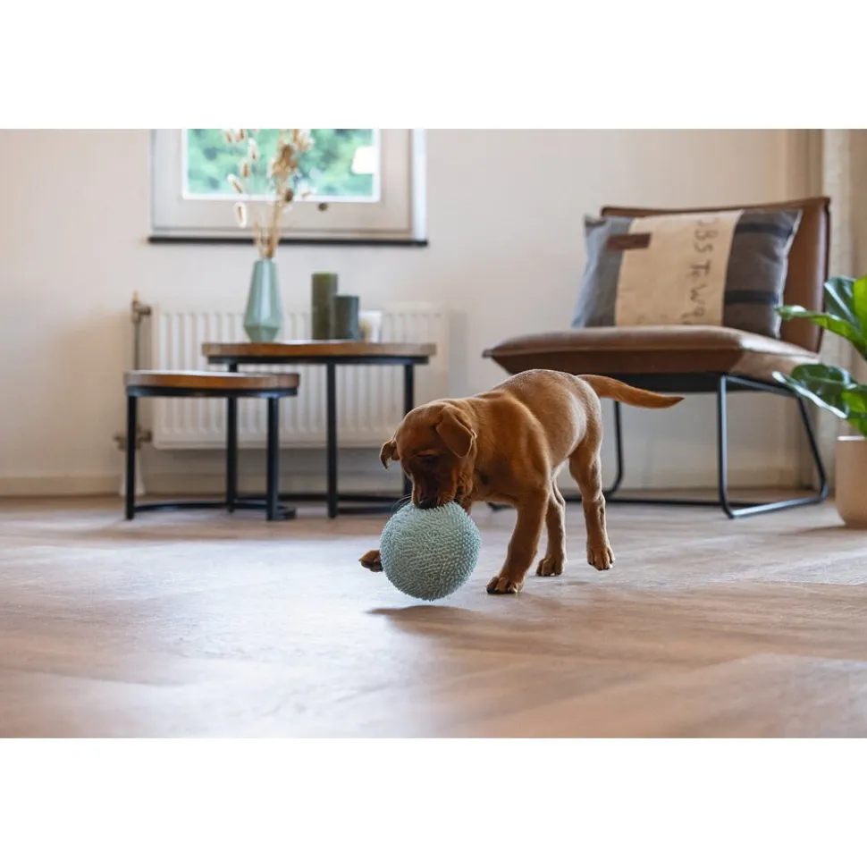 Beeztees Puppy Bal Lily