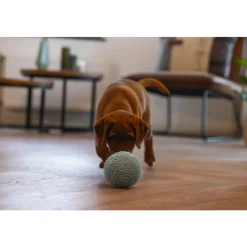 Beeztees Puppy Bal Lily