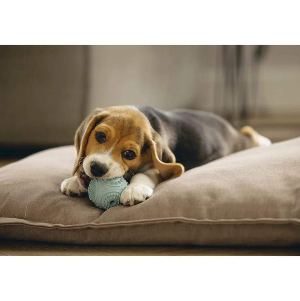 Beeztees Puppy Dental Bal