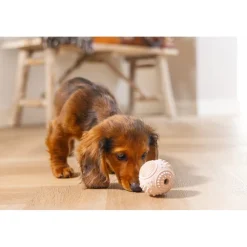 Beeztees Puppy Dental Bal