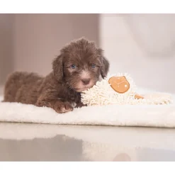 Beeztees Puppy Eco Knuffellap