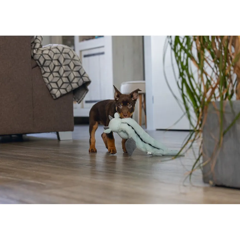 Beeztees Puppy Flatino Draak Yi