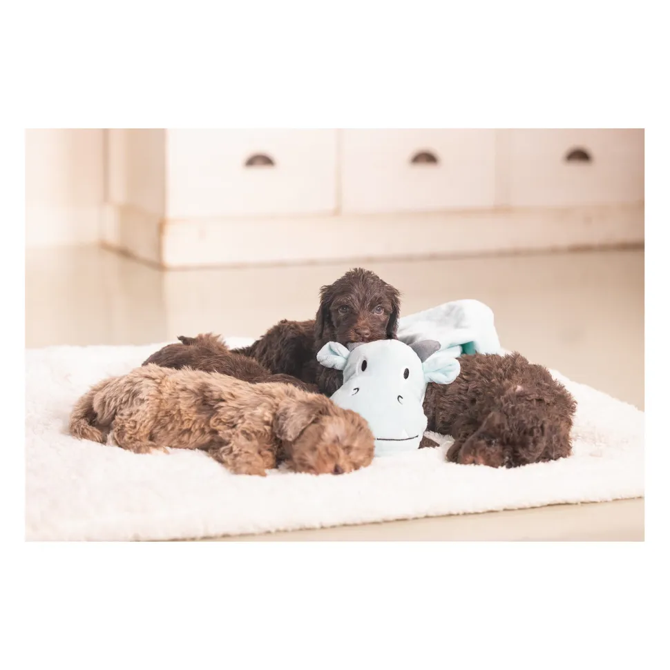 Beeztees Puppy Knuffeldoek Draak