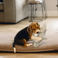 Beeztees Puppy Krokodil Jake