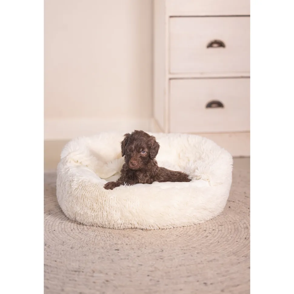 Beeztees Puppy Ligbed Kiki